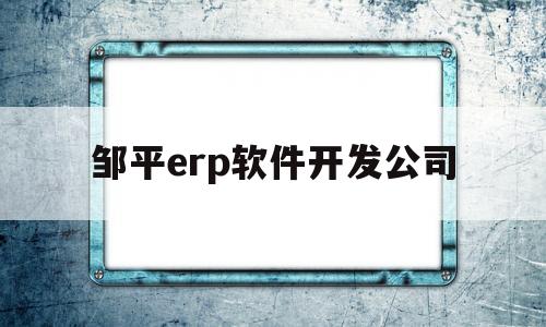 邹平erp软件开发公司(邹平erp软件开发公司怎么样)