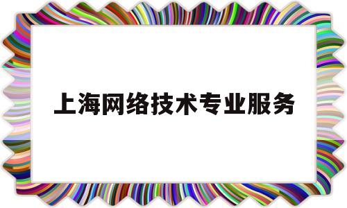 上海网络技术专业服务(上海网络技术专业服务企业)