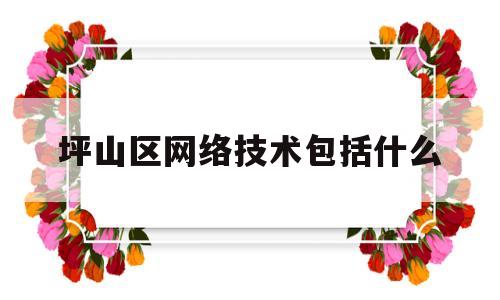 坪山区网络技术包括什么的简单介绍