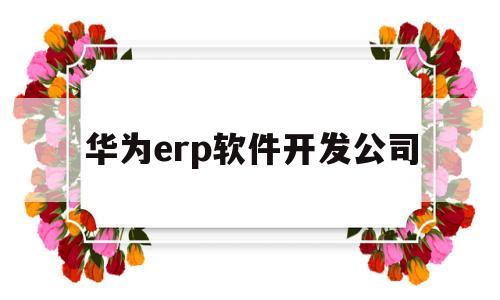 华为erp软件开发公司(华为erp软件开发公司招聘)