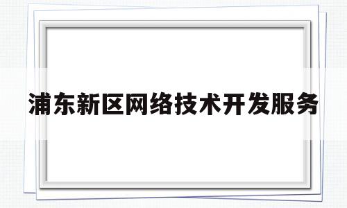 浦东新区网络技术开发服务(上海浦东新区网络科技有限公司)