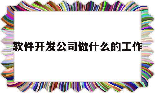 软件开发公司做什么的工作(软件开发公司做什么的工作比较好)