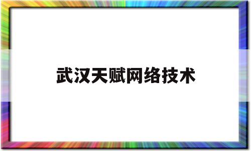 关于武汉天赋网络技术的信息