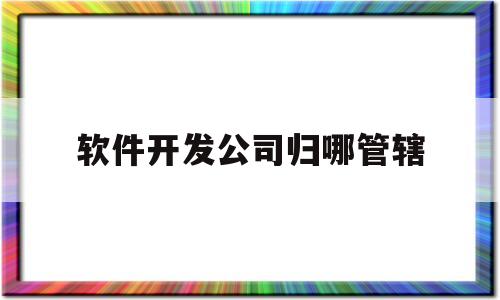 软件开发公司归哪管辖(软件开发属于什么经营范围)