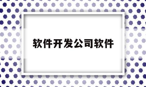 软件开发公司软件(软件开发公司是什么行业)