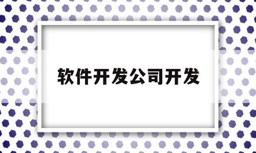 软件开发公司开发(软件开发公司开发自己的产品)