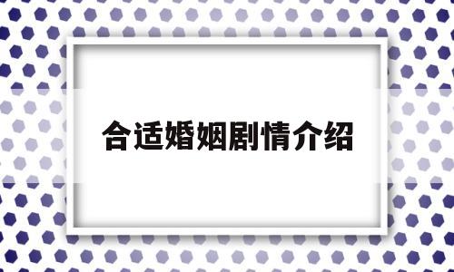 合适婚姻剧情介绍(电视剧合适婚姻)