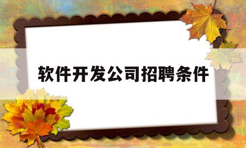 软件开发公司招聘条件(软件开发招聘网站有哪些)