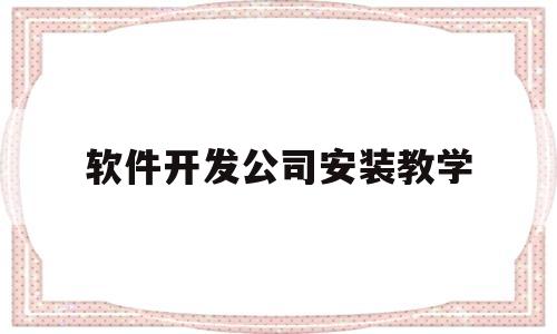 软件开发公司安装教学(开发软件公司需要准备什么)