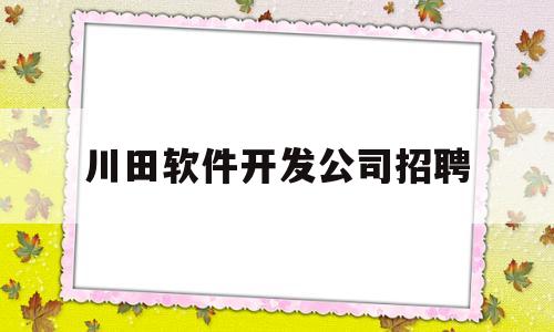 川田软件开发公司招聘(川田软件开发公司招聘电话)