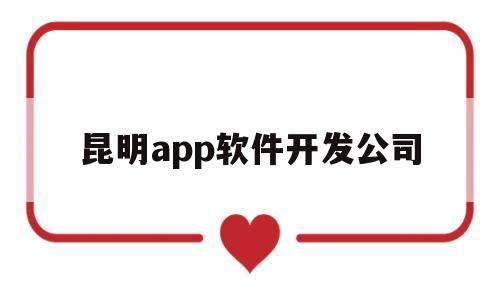 昆明app软件开发公司(昆明市app开发团队电话)