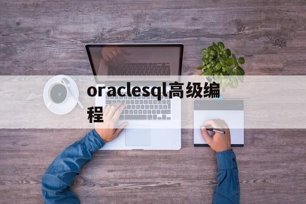 oraclesql高级编程(oracle数据库编程经典300例)