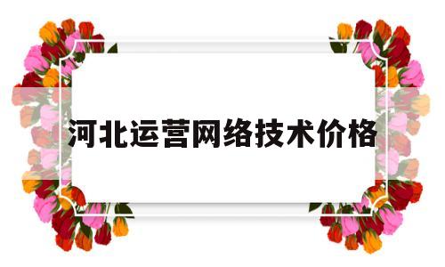 河北运营网络技术价格(网络技术运营管理是做什么)