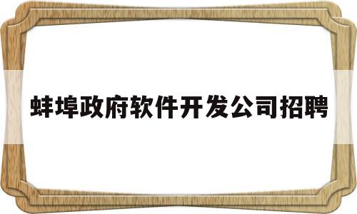 蚌埠政府软件开发公司招聘(蚌埠软件测评中心)