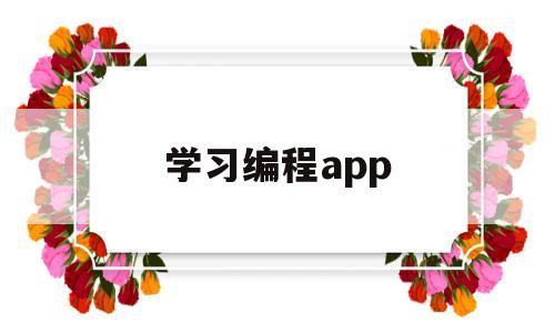 学习编程app(学编程的软件app)