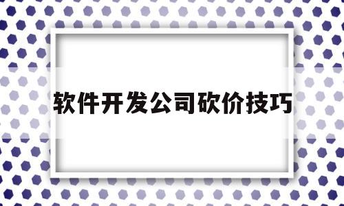 软件开发公司砍价技巧(软件开发公司砍价技巧分析)