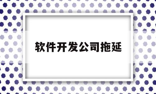 软件开发公司拖延(软件开发公司怎么样)