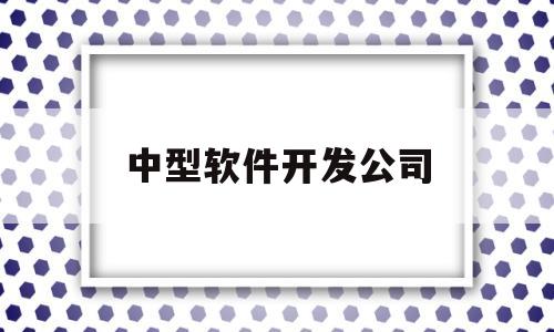 中型软件开发公司(有名的软件开发公司)