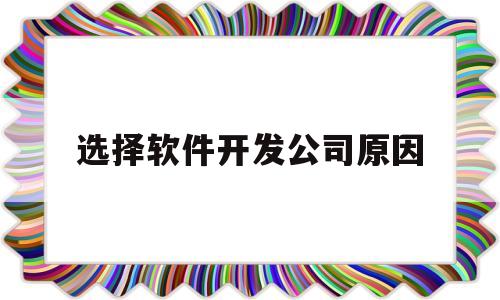 选择软件开发公司原因(为什么选择软件开发工程师)