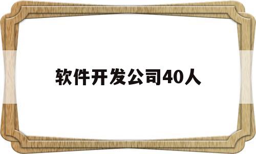 软件开发公司40人(软件开发公司一般多少人)