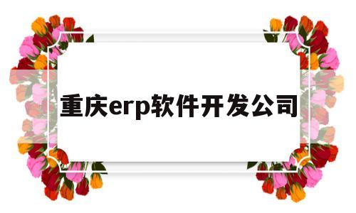 重庆erp软件开发公司(重庆erp软件开发公司怎么样)