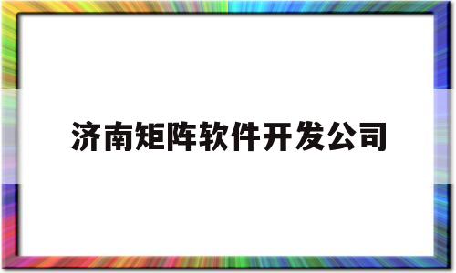 济南矩阵软件开发公司(济南矩阵软件工程有限公司)