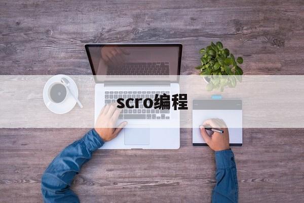 scro编程(scratch编程是什么编程)