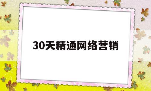 30天精通网络营销(30天精通网络营销活动方案)