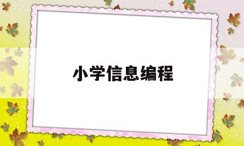 小学信息编程(小学信息编程猫)