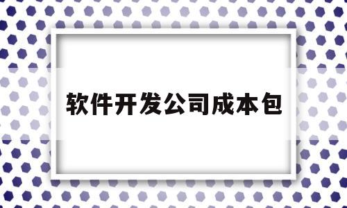 软件开发公司成本包(软件开发公司成本包含哪些)