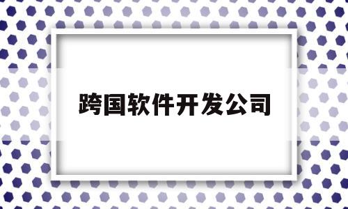 跨国软件开发公司(跨国软件开发公司排名)