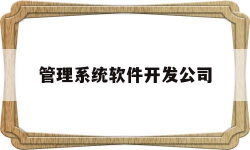 管理系统软件开发公司的简单介绍