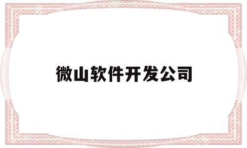 微山软件开发公司(微山软件开发公司电话)