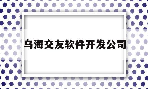 乌海交友软件开发公司(乌海交友软件开发公司怎么样)