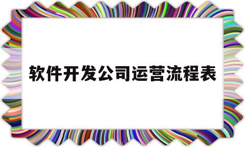 软件开发公司运营流程表(软件开发公司的运营是做什么的)