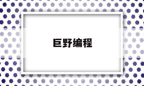 巨野编程(巨野哪里有学编程的)