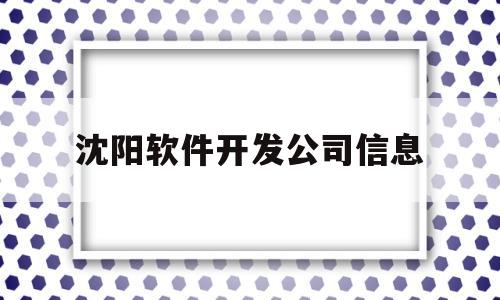 沈阳软件开发公司信息(沈阳软件开发公司信息咨询)