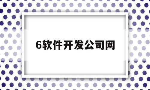 6软件开发公司网(软件开发公司网络改造项目需求)