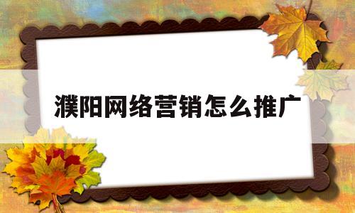 濮阳网络营销怎么推广(网络营销推广渠道有哪些)