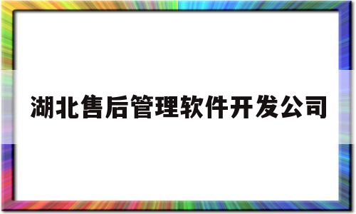 湖北售后管理软件开发公司(湖北售后管理软件开发公司有哪些)