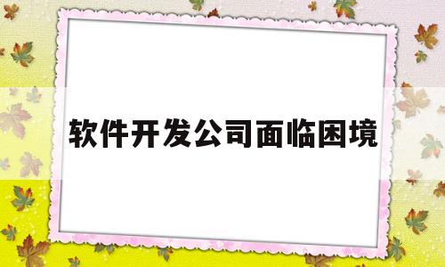 软件开发公司面临困境(大型软件开发有哪些困难)