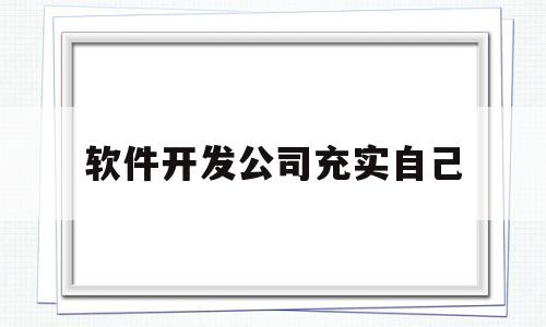 软件开发公司充实自己(软件开发公司有什么优惠政策)