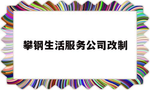 攀钢生活服务公司改制(攀钢生活服务公司改制时间)