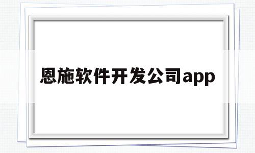 恩施软件开发公司app的简单介绍