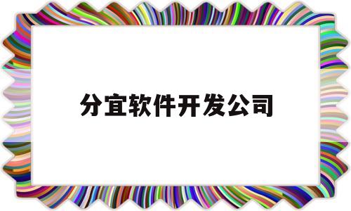 包含分宜软件开发公司的词条