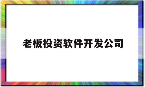 老板投资软件开发公司(投资一个软件开发公司需要多少资金)