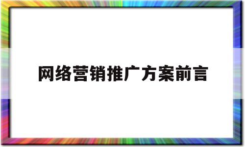 网络营销推广方案前言(网络推广营销方案100例)