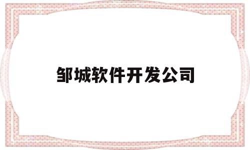 邹城软件开发公司(邹城 公司)