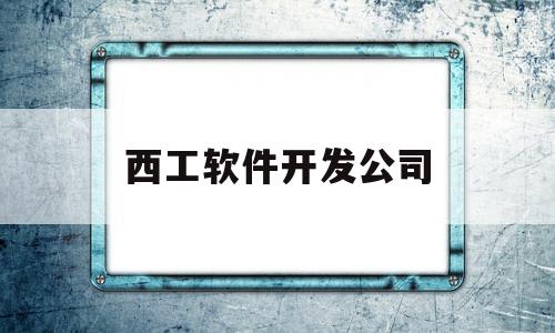 西工软件开发公司(西安工业软件工程)