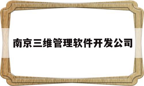 南京三维管理软件开发公司(南京三维管理软件开发公司有哪些)